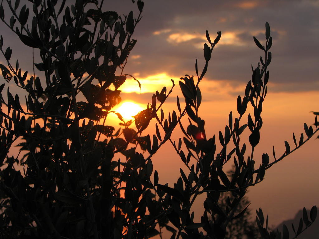 Cilento Bed & Breakfast San Mauro Cilento Exterior foto